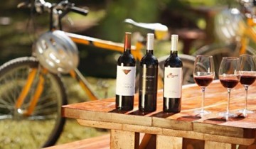 excursion-oenologique-a-velo-dans-les-vignes-de-saint-emilion