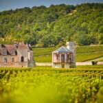 News du vin