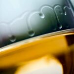 Technique des vins