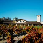 News du vin