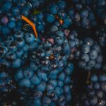 News du vin