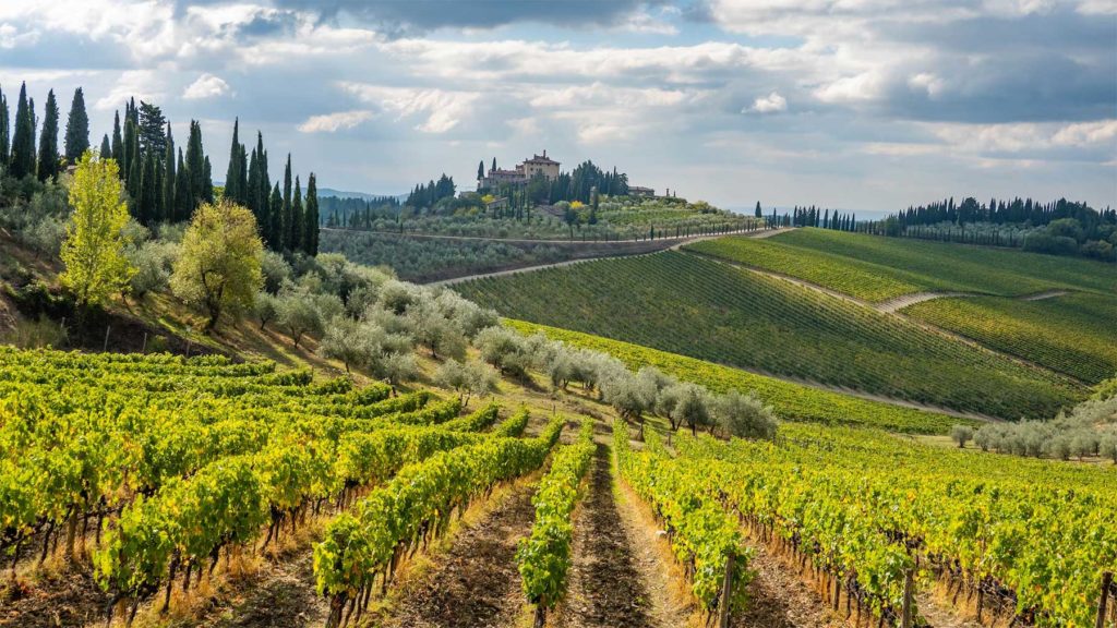vins de Toscane