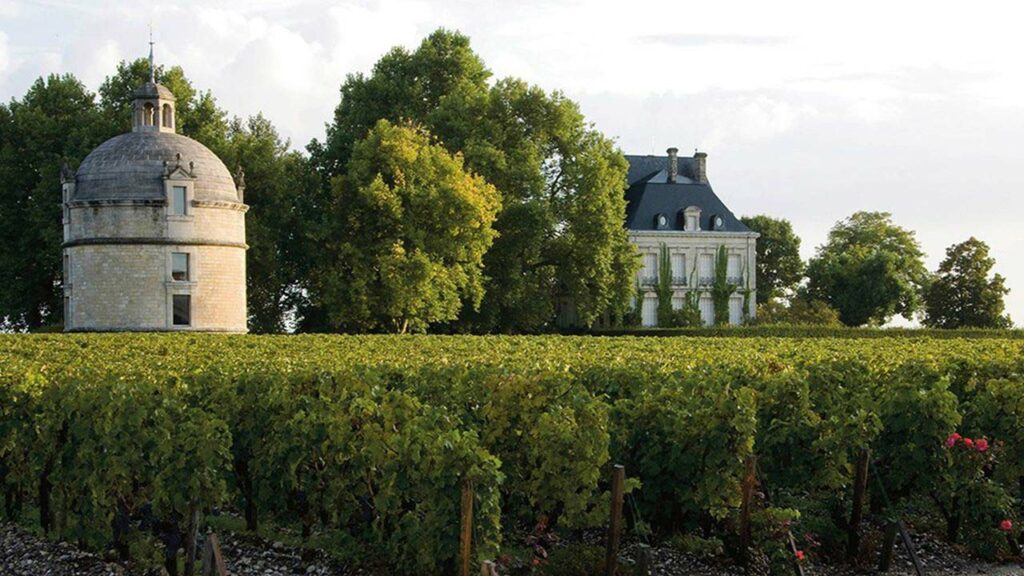 Château Latour: un vin de légende