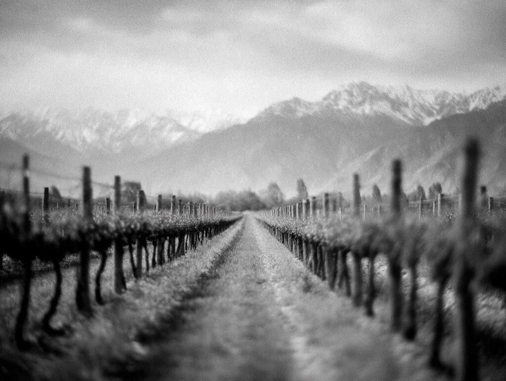 Importations de vins étrangers : les prix français sous tension