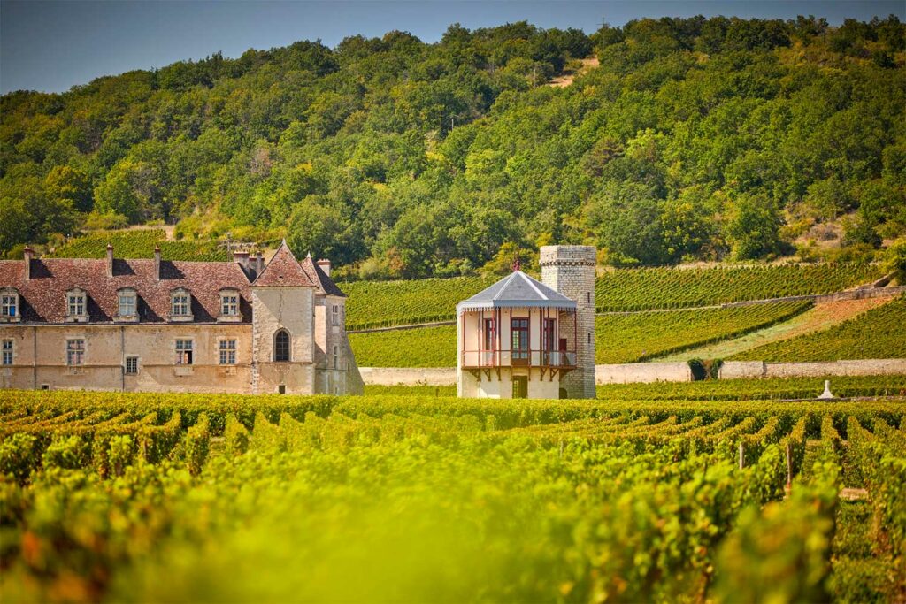 La Maison Joseph Drouhin renforce son domaine avec de nouvelles acquisitions