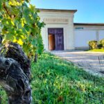 News du vin
