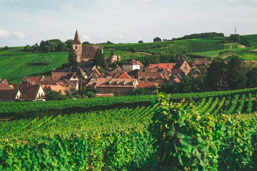 vin alsace