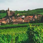 Route des vins