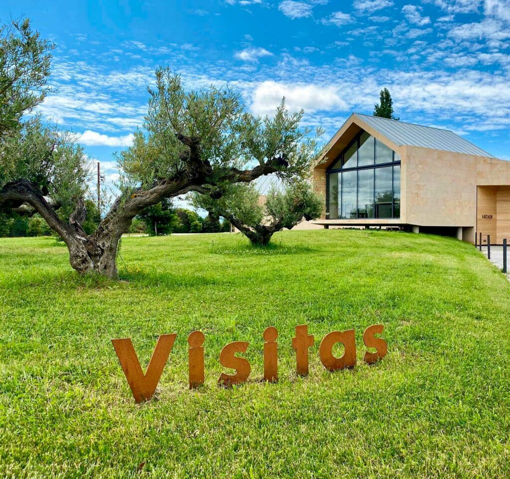 Viña El Pisón domaine Artadi