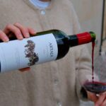 Portrait de vins