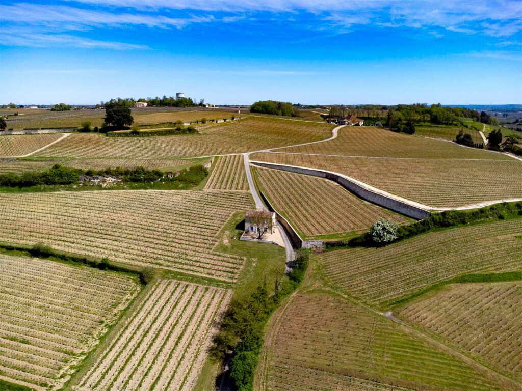 œnotourisme dans le Bordelais