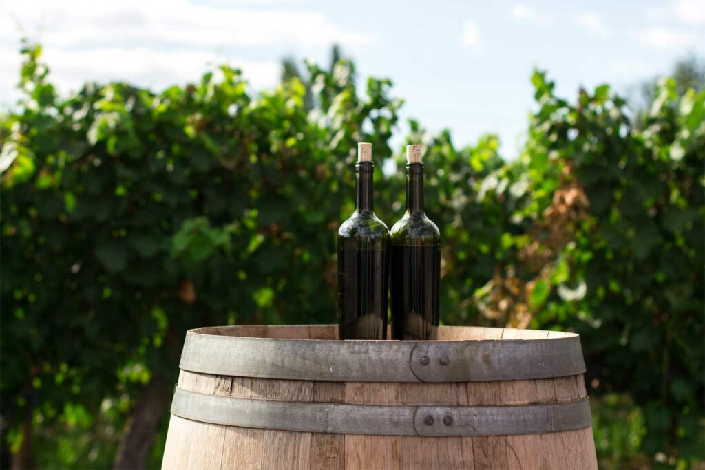 importation vins usa