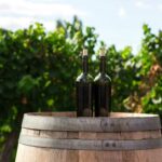 News du vin
